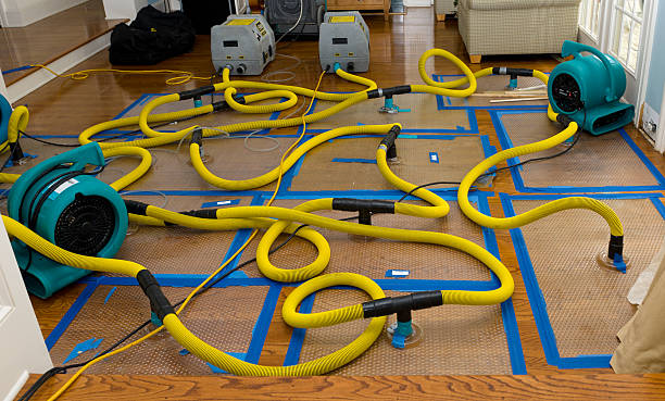 Professional Water Extraction technician working in Galena, IN
